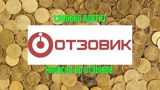 Сколько можно заработать на 60 отзывах на площадке Отзовик