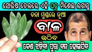 ସୋରିଷ ତେଲରେ ଏହି ପତ୍ର ମିଶେଇ ଲଗାନ୍ତୁ ଚନ୍ଦା ମୁଣ୍ଡରେ ବାଳ ଉଠିବ  Home Remedies for Hair Fall Control