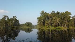 Relaxing Birds Sounds at Sunset on a Peaceful Lake  Lake Ambience for Healing & Stress Relief