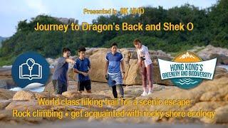 Hong Kongs Greenery & Biodiversity - Journey to Dragons Back and Shek O 8K