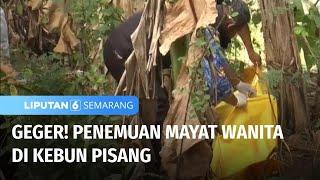 Mayat Wanita Ditemukan di Kebun Pisang  Liputan 6 Semarang