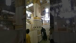 ROZA RASOOL SAWW  HAJJ 2023  MAKKAH MADINA #shorts #makkah #madina