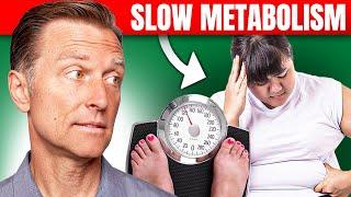 The Best Way to Fix a Slow Metabolism – Dr. Bergs Expert Advice