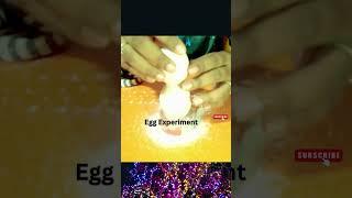 salt and Egg Experiment #shorts #shortvideo #eggexperiment #saltexperiment