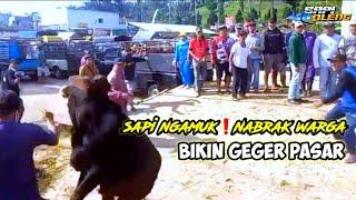 Sapi ngamuk nabrak warga️bikin geger pasar