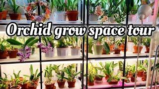 ORCHID GROW SPACE TOUR  -  SUMMER 2024