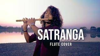 ANIMAL SATRANGA Flute Cover by Divyansh Shrivastava  Ranbir KapoorRashmika Arijit Singh