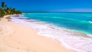 Waves on Saona Island - Relaxing Beach Sounds of the Caribbean Sea For Study Meditation and Sleep