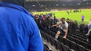 Eric Dier punching a bully fan Spurs vs. Norwich