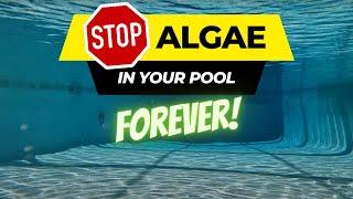 Never See Algae in Your Pool Again