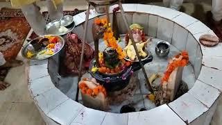 गुप्त नवरात्रि में संस्थान में पूजा पाठ