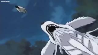 Akamaru vs Naruto and Kiba