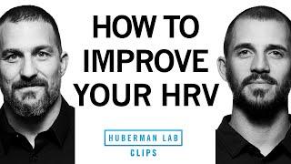 How to Improve Your HRV  Dr. Andy Galpin & Dr. Andrew Huberman