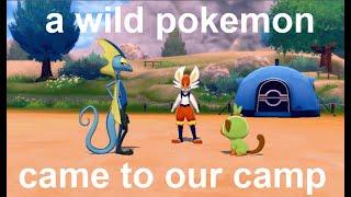 pokemon camp but its gohs current team