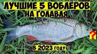 ТОП 5 Лучшие ВОБЛЕРЫ на ГОЛАВЛЯ в 2023 году Ловля Голавля на Спиннинг Рыбалка на голавля Голавль