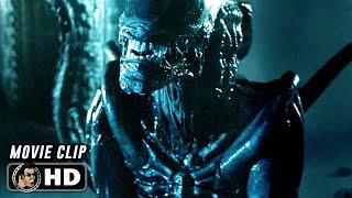 AVP ALIEN VS. PREDATOR Clip - Xenomorph Kills Predator 2004