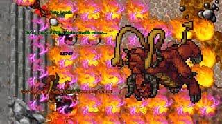 Tanking the DOOM - Tibia on Twitch #week24