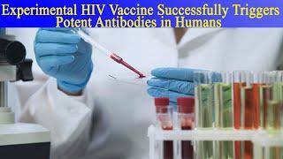 Experimental HIV Vaccine Successfully Triggers Potent Antibodies in Humans