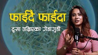 टुसा उम्रेका गेडागुडी खाँदा के के फाईदा हुन्छ? आस्था कार्की पोषणविद  NIKO NEPAL  Astha Karkee