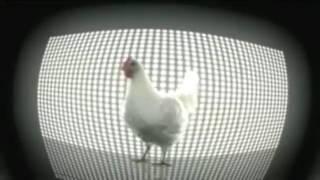 Смешная музыка куриц 