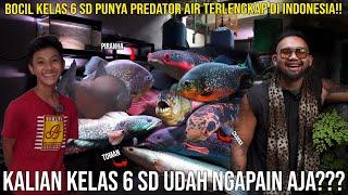 BOCIL KELAS 6 SD PUNYA PREDATOR AIR TERLENGKAP DI INDONESIA KALIAN KELAS 6 SD UDAH NGAPAIN AJA??