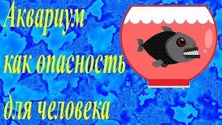 Аквариум как опасность для человека. Факторы опасности. Профилактика.