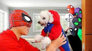 Bros 6 SuperHeroes vs NEW Puppy in SpiderMan House 
