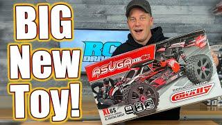 Freakin BIG RC Buggy Team Corally Asuga XLR