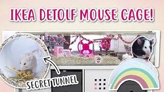 HUGE MOUSE CAGE TOUR