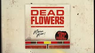 Maren Morris - Dead Flowers Official Audio