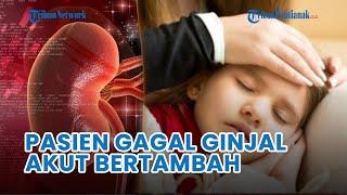  Pasien Gagal Ginjal Akut Bertambah RS Rujukan Mulai Penuh 133 Anak Meninggal Dunia Ini Gejalanya