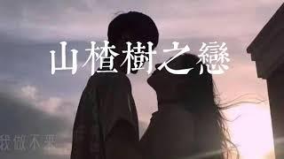 程佳佳 - 山楂树之恋   feat ：大能人【高音質&動態歌詞Lyrics】「 你是一只飞鸟 飞上我的树梢 」