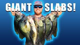 Fishing for BIG crappie in THICK GRASS