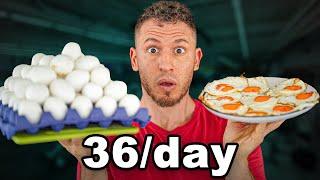 I Ate 250 EGGS in 1 Week. Heres what happened to my CHOLESTEROL