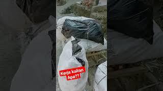 dilarang keras songong?? emang kalo kerja jadi pangangkut sampah masalah buat loe??