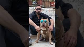 BENDEN YAKIŞIKLI KÖPEĞİM VAR 