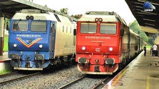 Trenuri & Activitate Feroviară  Trains & Rail Activity in Gara Oradea Station - 28 Iunie 2024