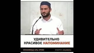 УДИВИТЕЛЬНО КРАСИВОЕ НАПОМИНАНИЕ ПСЕВДОАШАРИТА