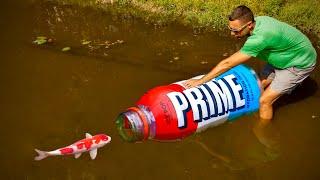 MEGA PRIME Bottle Catches Colorful Fish