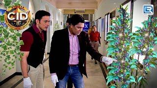 Team CID को मिला Hospital में एक जादुई Plant  CID  Full Episode