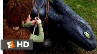 How to Train Your Dragon 2010 - Freeing The Night Fury Scene 110  Movieclips