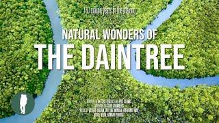 Daintree Rainforest Documentary in 4K  Australia Nature  Queensland  Original Documentary