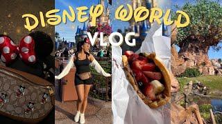 DISNEY WORLD VLOG  An adult trip to EVERY Disney park BEST eats drinking in Epcot & travel tips