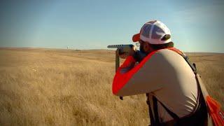 Hunting South Dakota Prairie Chickens Classic 2015