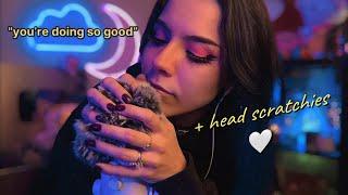 ASMR Telling You How Good You’re Doing for 20mins + head scratchies positive affirmations asmr