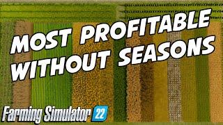 UPDATED Most Profitable Crop In 2024