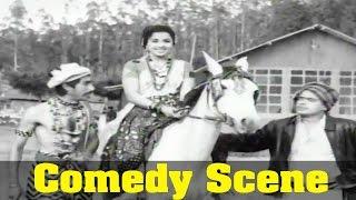 Delhi Mappillai Movie  Manorama Horse Riding Comedy Scene