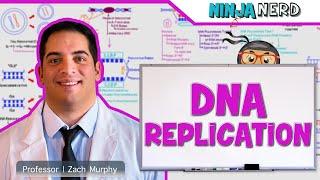 Cell Biology  DNA Replication 