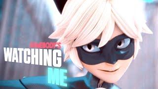  SOMEBODYS WATCHING ME  Chat Noir