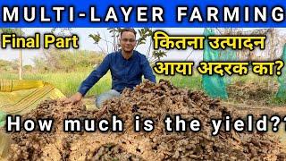 MULTILAYER FARMING  FINAL PART 11  AKASH CHAURASIAS MULTI-LAYER MODEL  GINGER FARMING